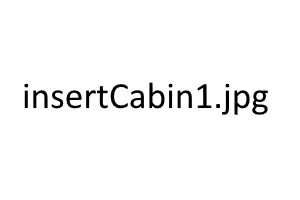 update cabin without